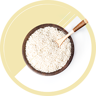 پروتئین هیدرولیزشده برنج